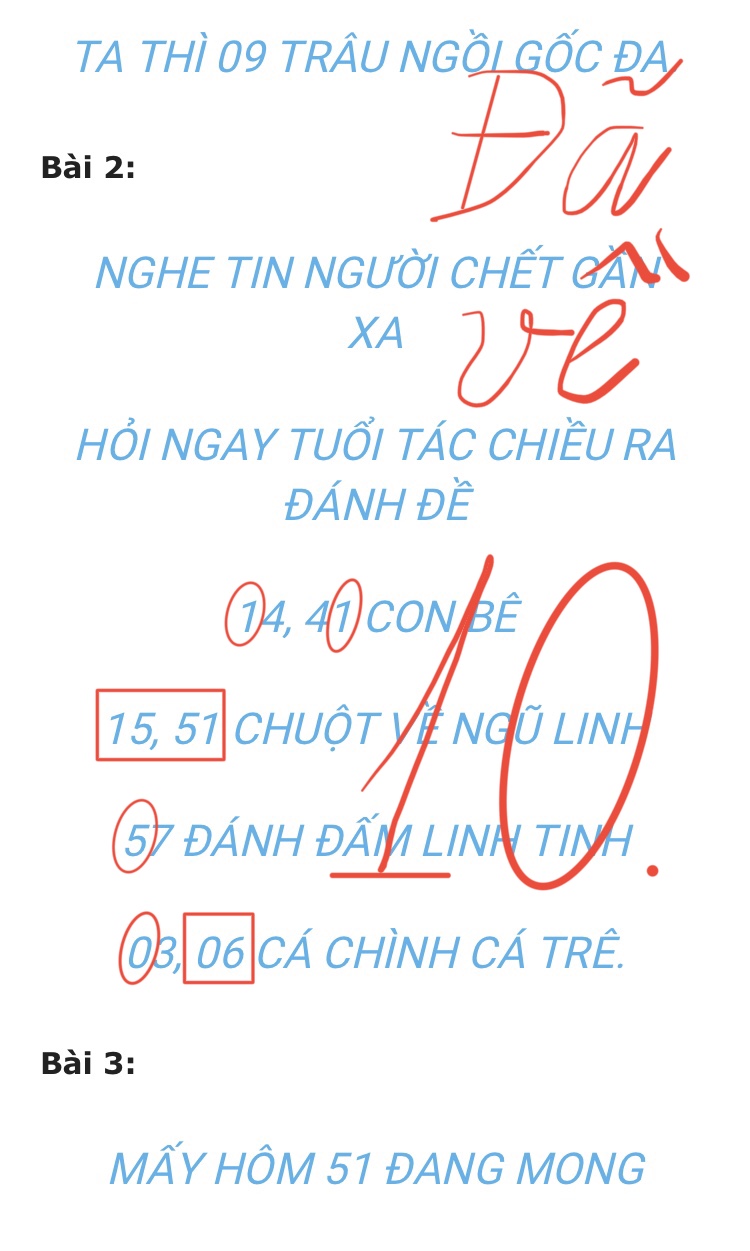 402BFD65-4D8C-4F5C-8B75-876369120B5B.jpeg