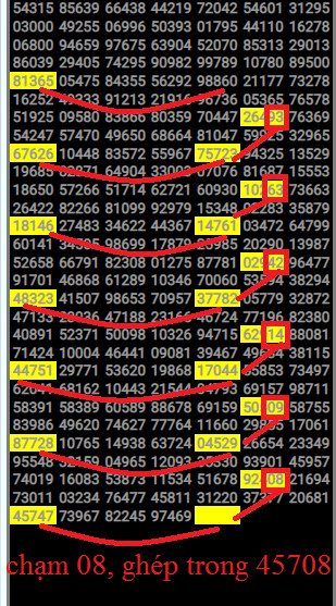 8101.jpg